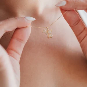 Collar Oso (Apapachar)